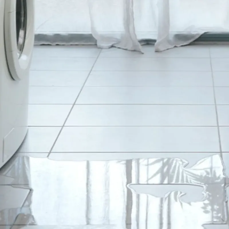 Appliance Leak Cleanup in Moorhead, MN