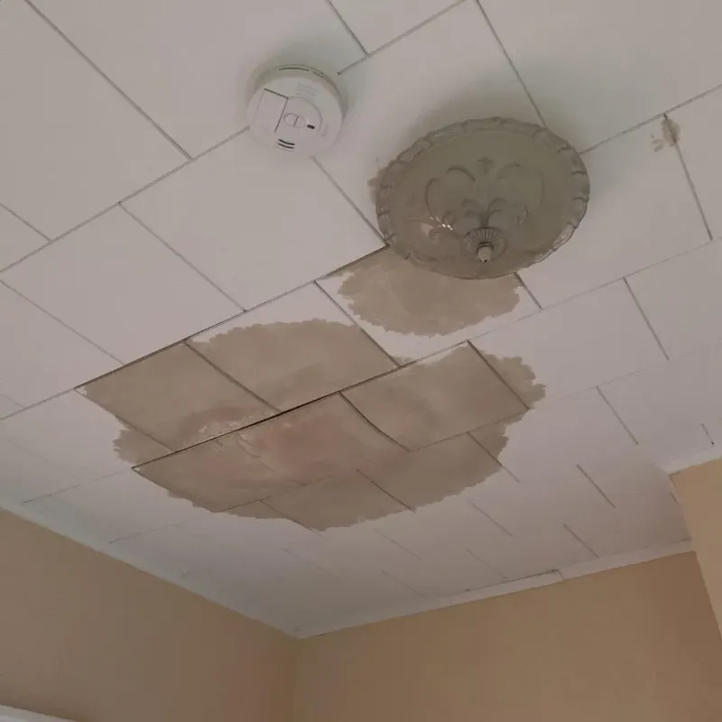 Ceiling Water Damage Repair in Moorhead, MN