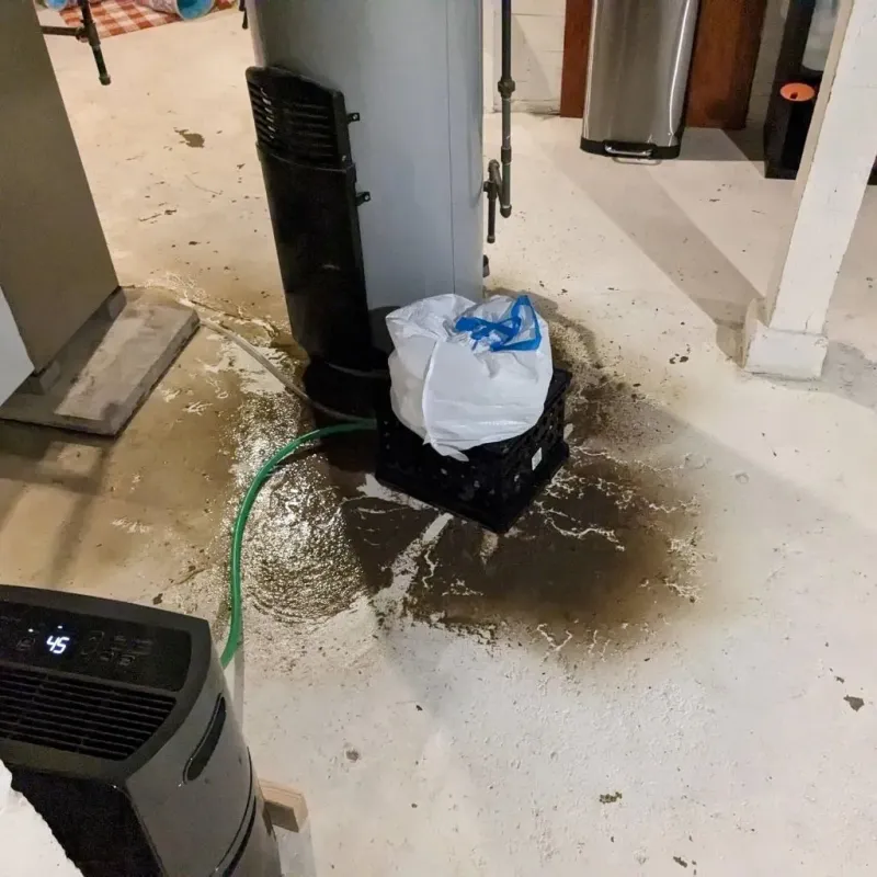 Sewage Backup Cleanup Service in Moorhead, MN
